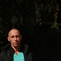 , 29, 