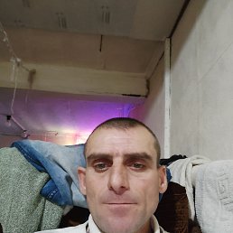 ������, 42 ����, ��������