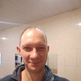 ���������, 41 ���, ����