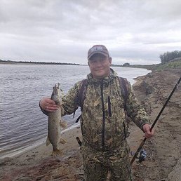 �������, �����-��������, 37 ���