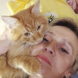 ������, �����������, 49 ���