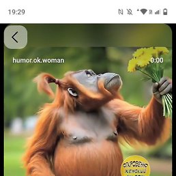 ������, ������, 48 ���