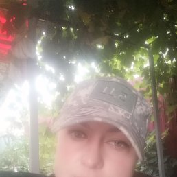 , 41, 