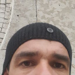 ������, �����-���������, 38 ���