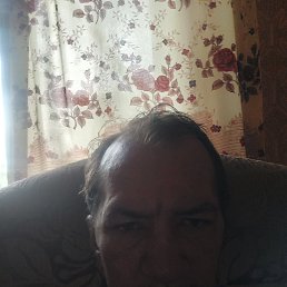 , 46, 