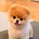 ���� ��������, ��������, 71 ��� - ��������� 12 ������ 2025 � ������ ���� ����������