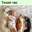���� ���������, ������������ - ��������� 18 ����� 2026 � ������ ���� ����������