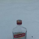 ���� ������, ������ ��������, 38 ��� - ��������� 29 ����� 2024 � ������ ���� ����������