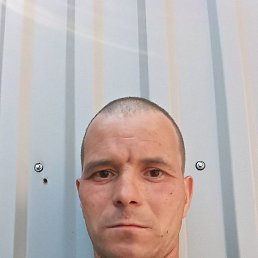 , 41, 