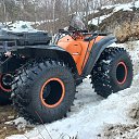 ���� ����, ������, 46 ��� - ��������� 25 ������ 2024 � ������ ���� ����������