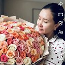 ���� ������, ������, 41 ��� - ��������� 4 ������ 2026 � ������ ���� ����������