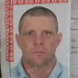 ����, ����, 40 ���