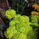  , --, 57  -  15  2025