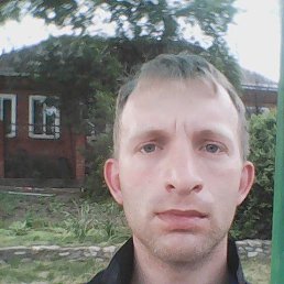 , 37, 