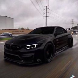 ����� ���������, ����, 23 ����