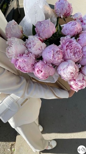 a��o� �e�o��e c�ac��� ce�o��� � �a�ce��a.���� ����� ����� � �������