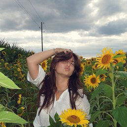 �����, ������ ��������