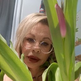 ��������, ���������, 48 ���