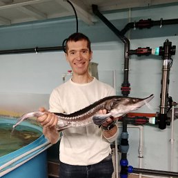 �������, 41 ���, �������