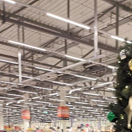 ������, ����, 46 ���