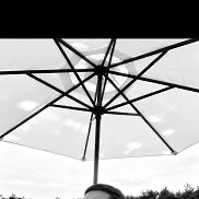 �����, 32 ����, ����