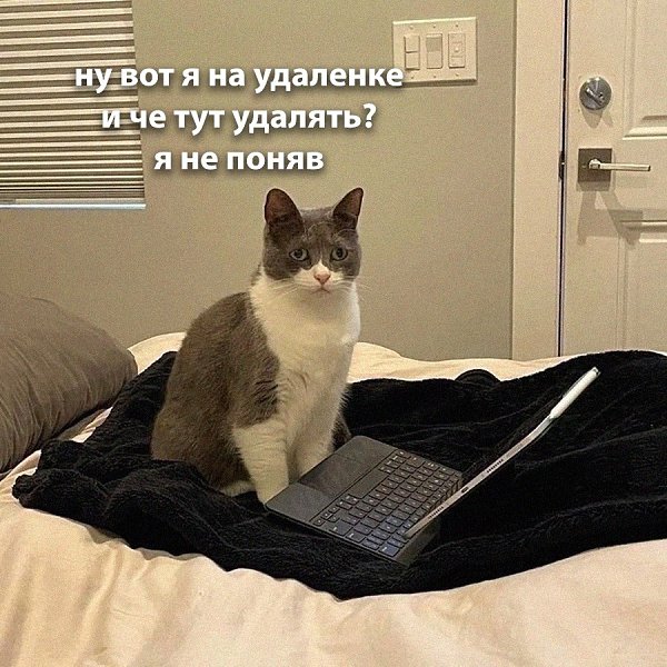 ��� �������� �������� - 4 ������� 2026 � 12:30