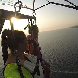 ���� �������, ��������, 51 ��� - ��������� 14 ������� 2026