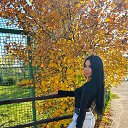 ���� ��������, ���������, 36 ��� - ��������� 16 ���� 2025 � ������ ���� ����������