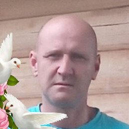 ��������, �������, 54 ����