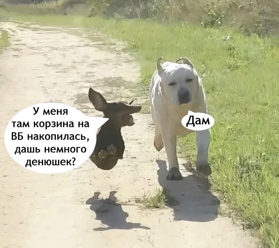 Мужики поймут. Мы на все готовы для наших любимых девочек! - 2