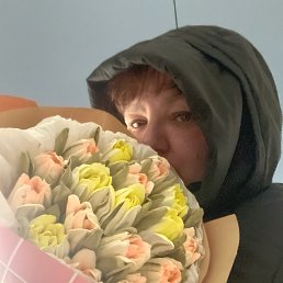 ���� �����, �����, 50 ��� - ��������� 18 ����� 2026