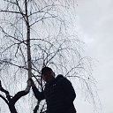 ���� ������, �����������, 49 ��� - ��������� 23 ������� 2023
