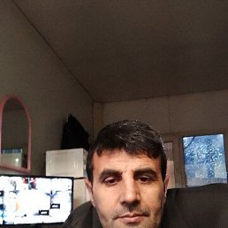 , 41, 