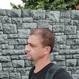 ����, 42 ����, ���������