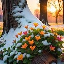 ���� �������, �����, 38 ��� - ��������� 24 ������� 2024 � ������ ���� ����������