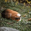 ���� ����� ��������, �����-���������, 57 ��� - ��������� 27 ����� 2026 � ������ ���� ����������