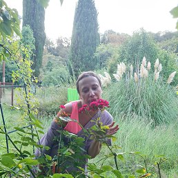 , 42, 