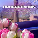 ���� �����, ���������, 49 ��� - ��������� 5 ��� 2025 � ������ ������ ��������