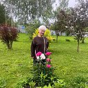 ���� C�������, ���������� - ��������� 30 ���� 2025 � ������ ���� ����������