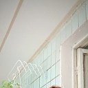 ���� �����, ���������, 48 ��� - ��������� 2 ������ 2025 � ������ ���� ����������