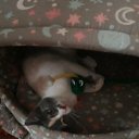  Marina, , 64  -  13  2025    