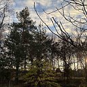 ���� ������, �����, 64 ���� - ��������� 10 ������ 2025 � ������ �������� ��������