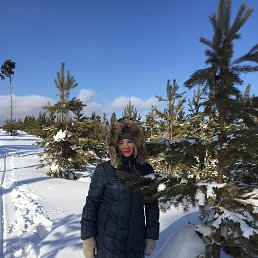 �������, ������, 49 ���