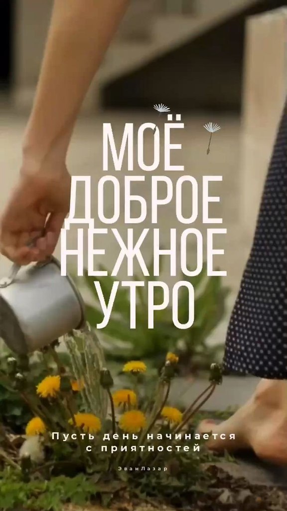 Доброе утро от эван лазар. Эван лазар доброе утро.