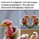 ���� �����, ���� - ��������� 10 ����� 2025 � ������ ���� ����������