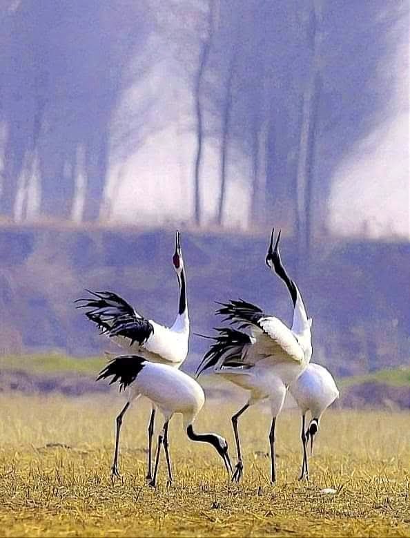 Красота природы...Осень...