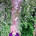 ���� Inga-sergeewna, ������ - ��������� 26 ����� 2025 � ������ ���� ����������