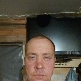 , 41 , -