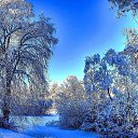 ���� ���������, ������ - ��������� 21 ���� 2024 � ������ ���� ����������