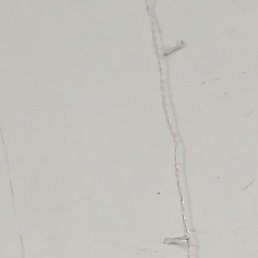 ������, ���, 44 ����